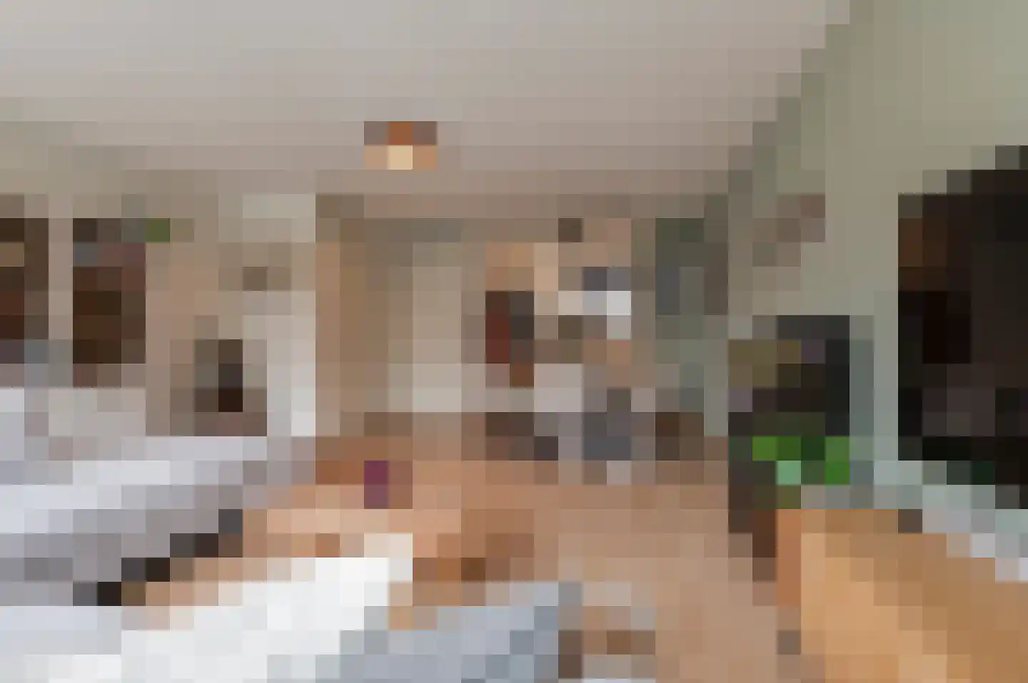 Diet Kramerhof 8 Culemborg thumbnail 10