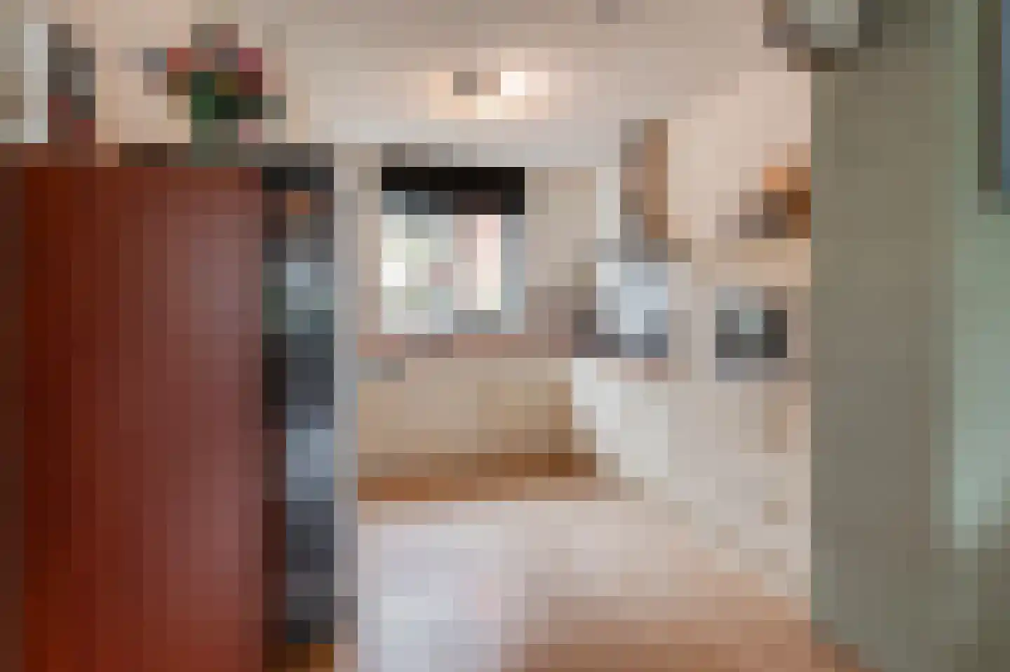 Diet Kramerhof 8 Culemborg thumbnail 12
