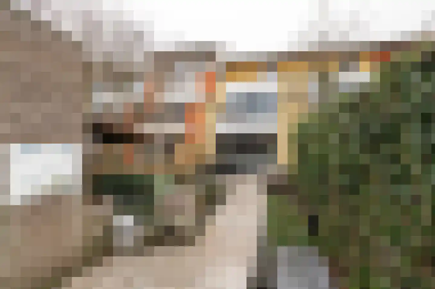 Diet Kramerhof 8 Culemborg thumbnail 14