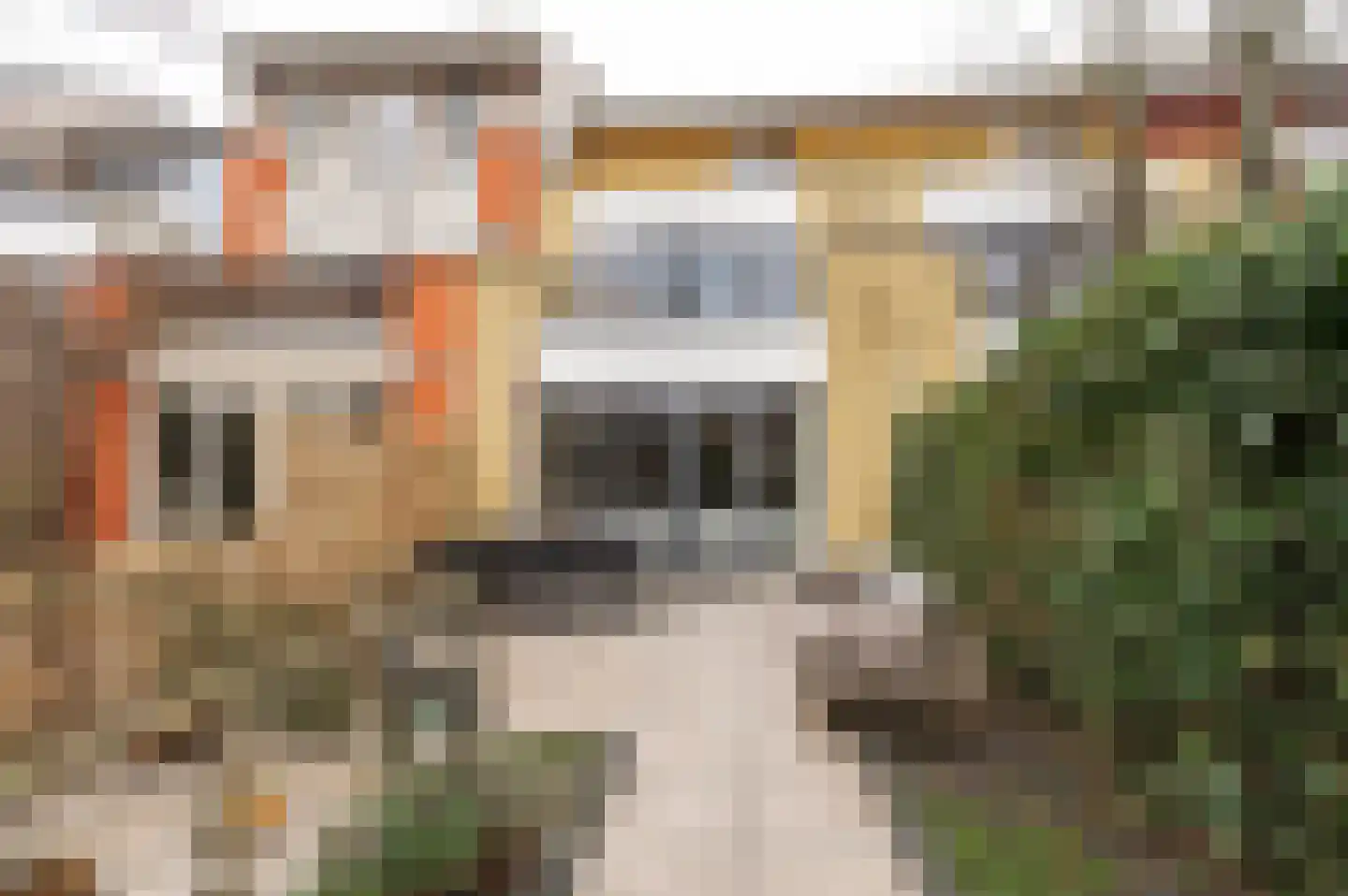 Diet Kramerhof 8 Culemborg thumbnail 15