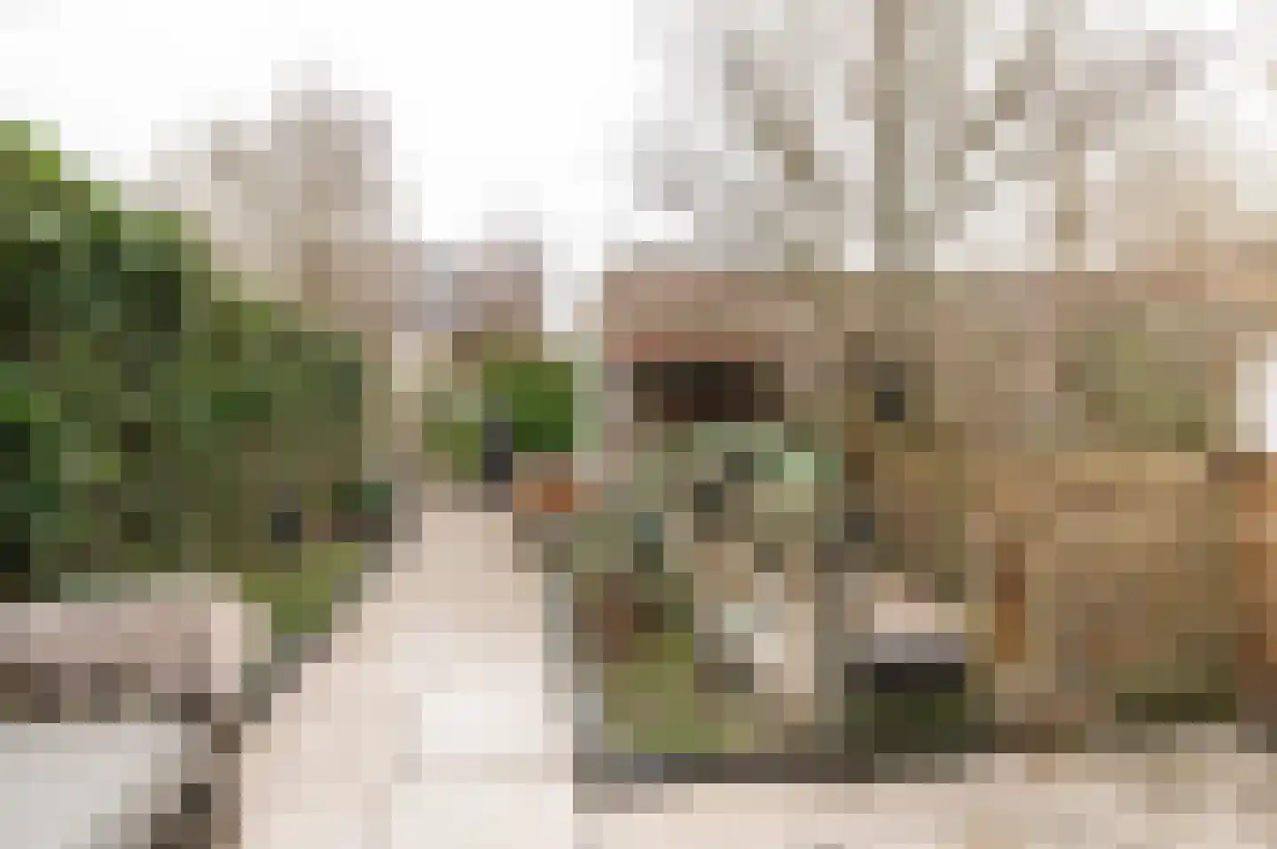 Diet Kramerhof 8 Culemborg thumbnail 16