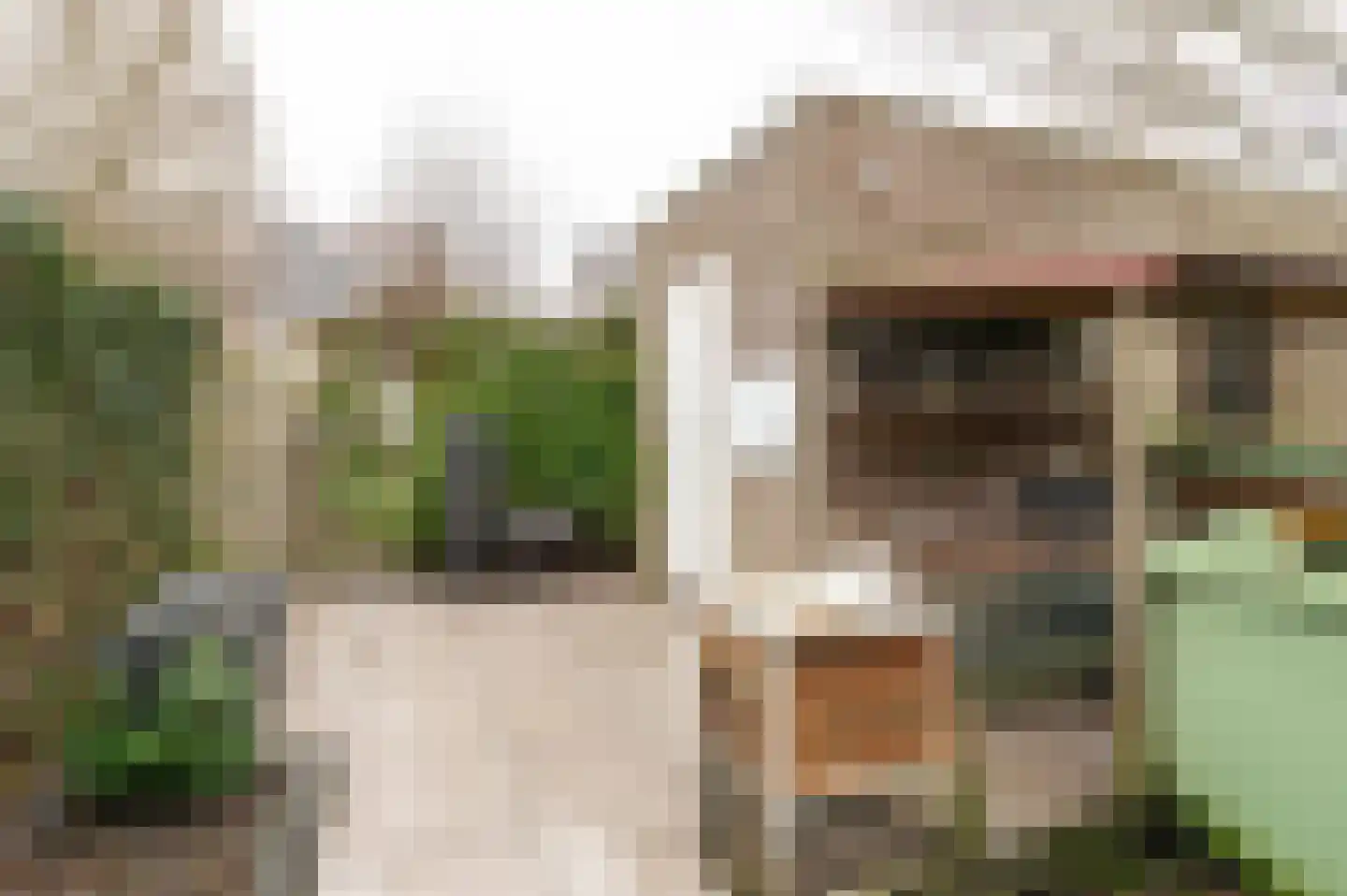 Diet Kramerhof 8 Culemborg thumbnail 17