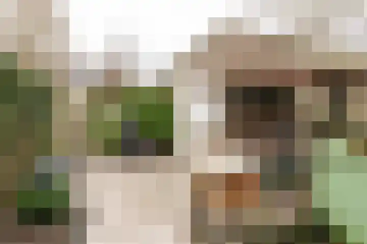 Diet Kramerhof 8 Culemborg thumbnail 17