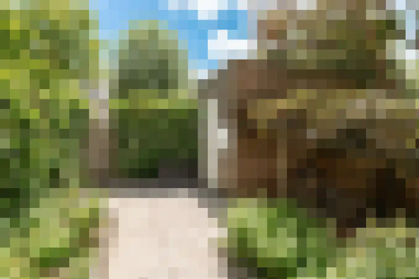 Diet Kramerhof 8 Culemborg thumbnail 19