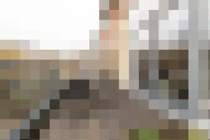 Diet Kramerhof 8 Culemborg thumbnail 25