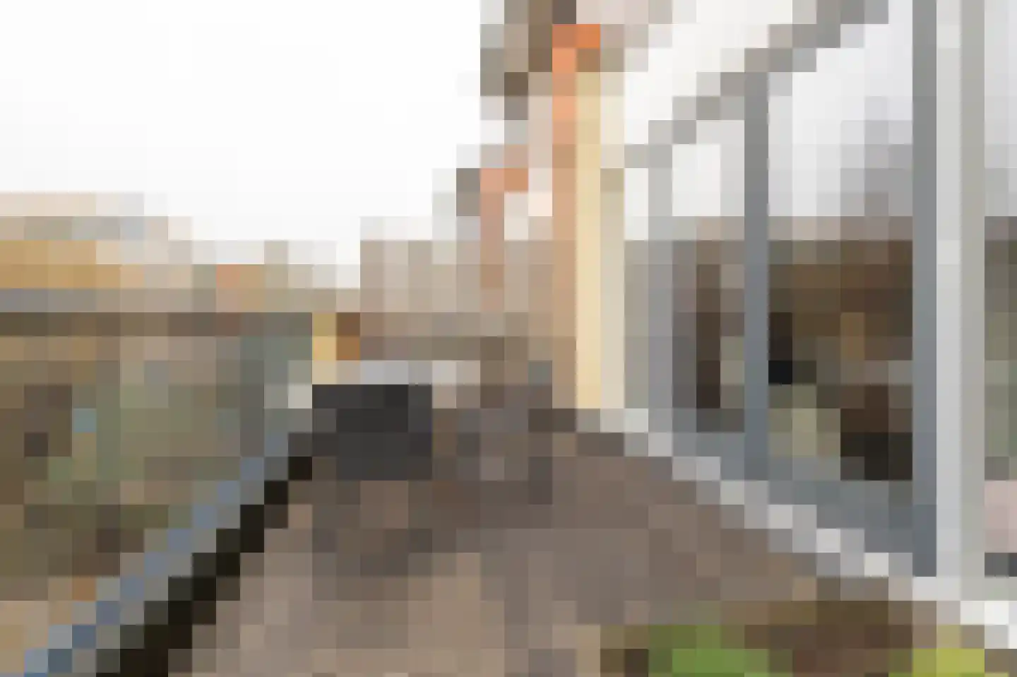 Diet Kramerhof 8 Culemborg thumbnail 25