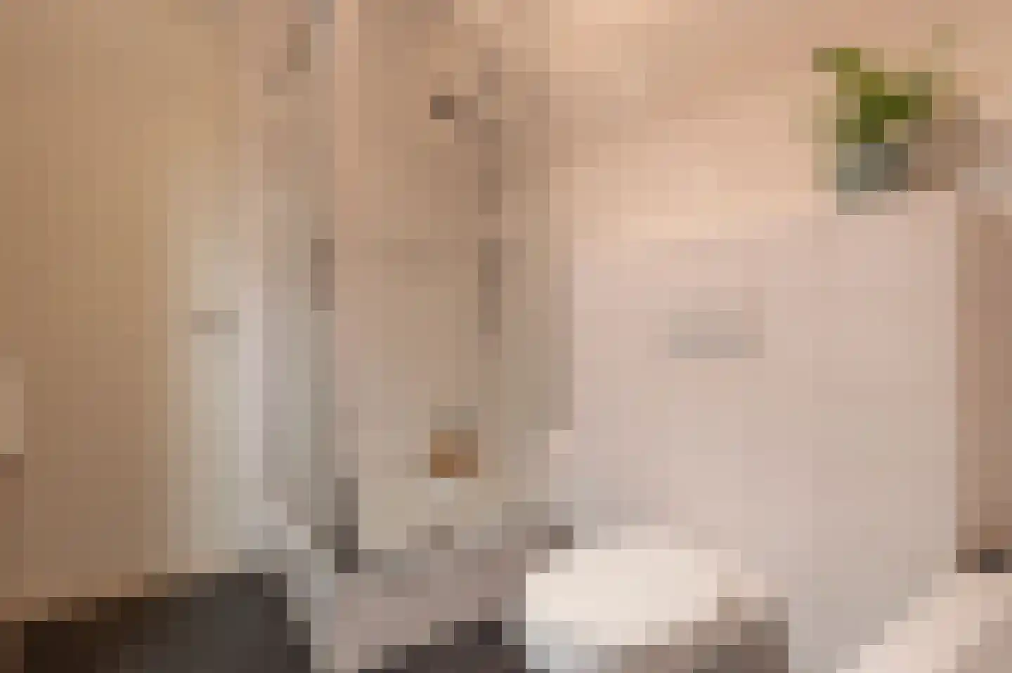 Diet Kramerhof 8 Culemborg thumbnail 29