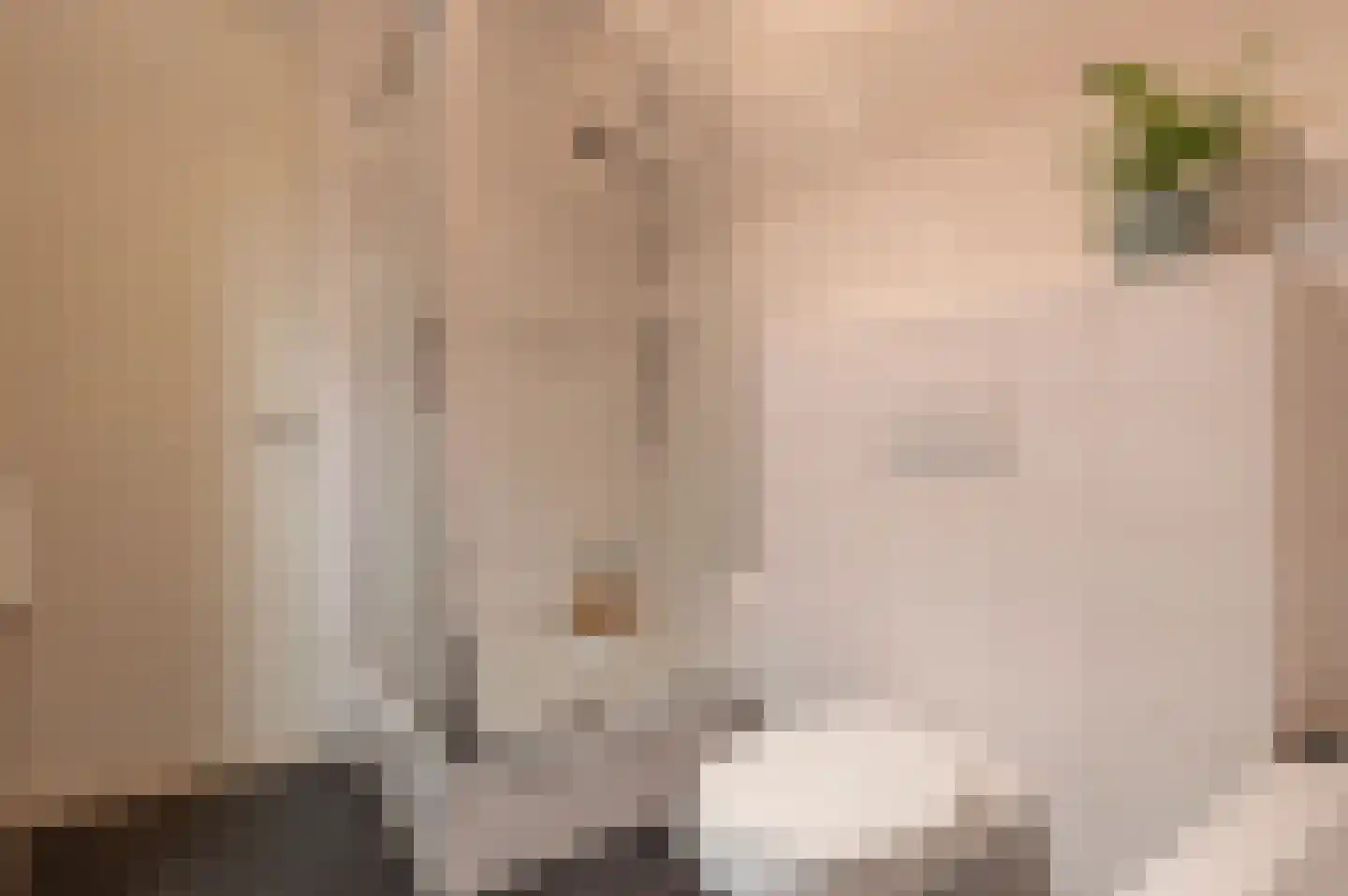 Diet Kramerhof 8 Culemborg thumbnail 30