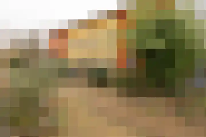 Diet Kramerhof 8 Culemborg thumbnail 38