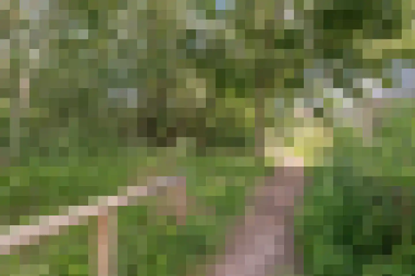 Diet Kramerhof 8 Culemborg thumbnail 39