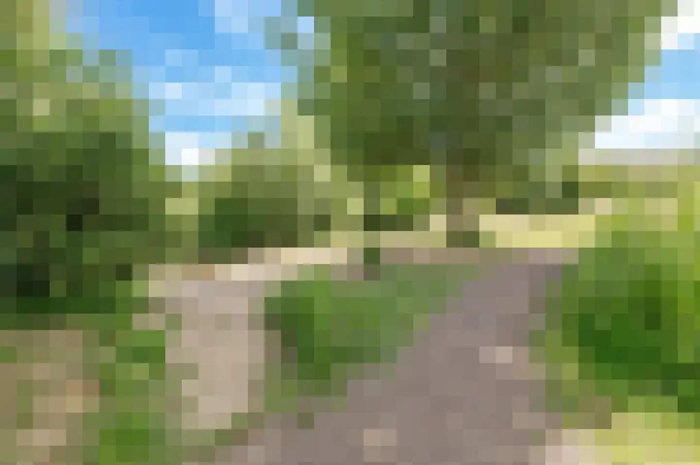 Diet Kramerhof 8 Culemborg thumbnail 40