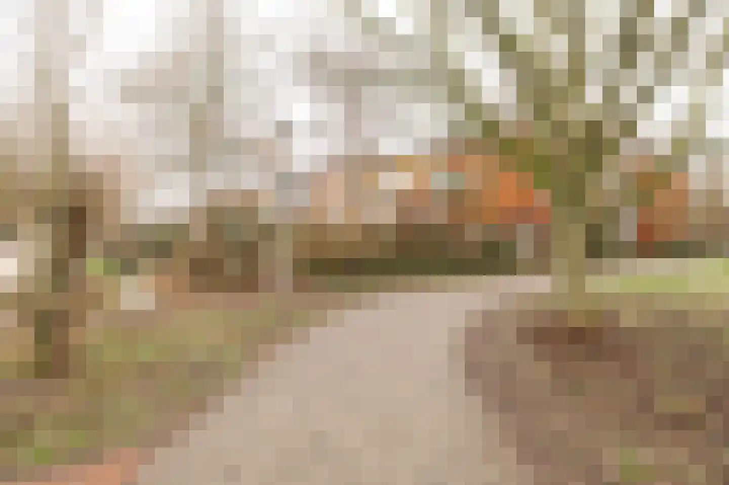 Diet Kramerhof 8 Culemborg thumbnail 41