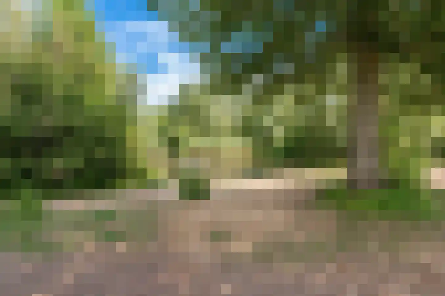 Diet Kramerhof 8 Culemborg thumbnail 41