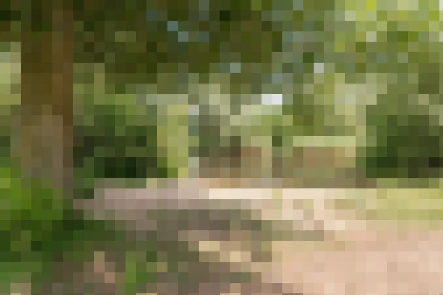 Diet Kramerhof 8 Culemborg thumbnail 42