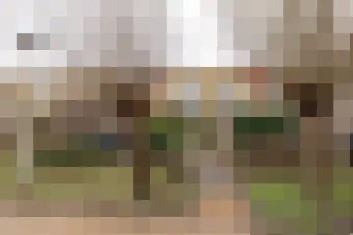 Diet Kramerhof 8 Culemborg thumbnail 42