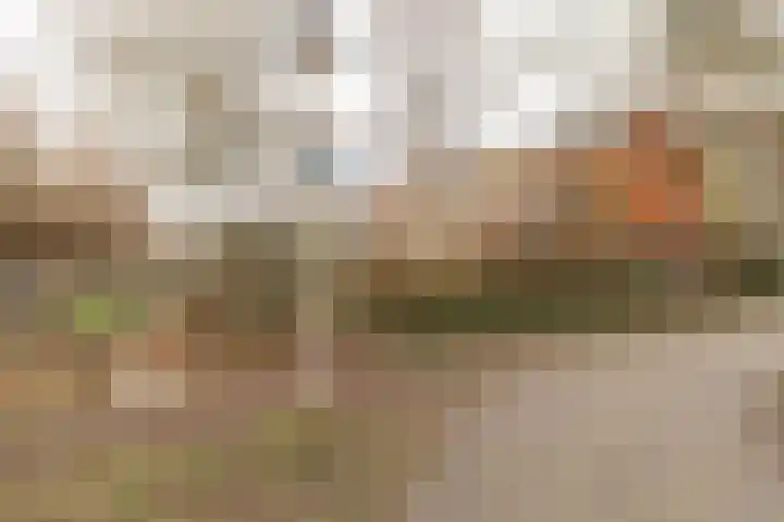 Diet Kramerhof 8 Culemborg thumbnail 43