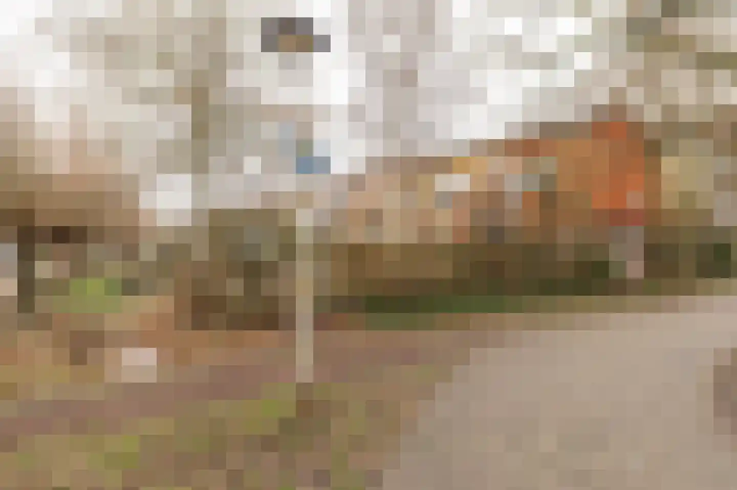Diet Kramerhof 8 Culemborg thumbnail 43