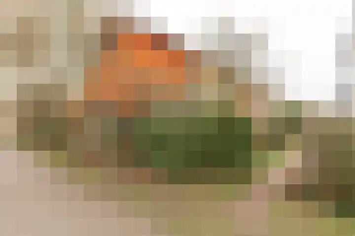 Diet Kramerhof 8 Culemborg thumbnail 44