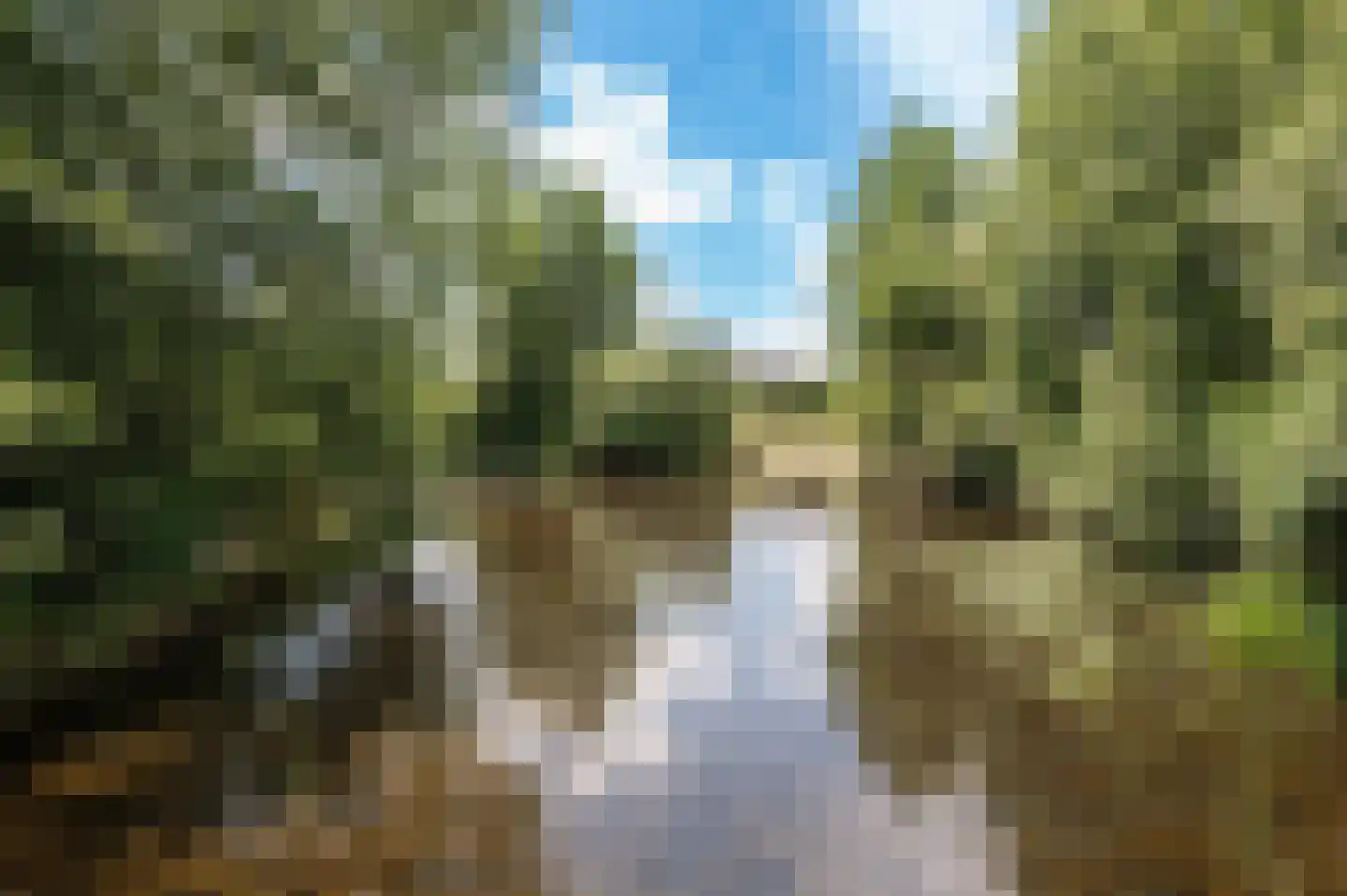 Diet Kramerhof 8 Culemborg thumbnail 45