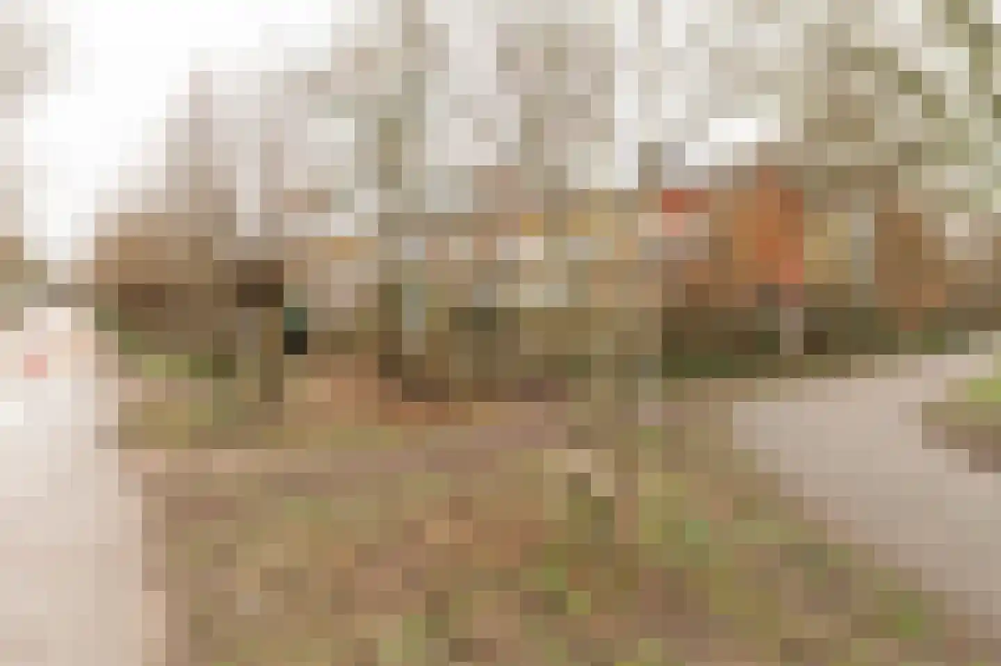 Diet Kramerhof 8 Culemborg thumbnail 45
