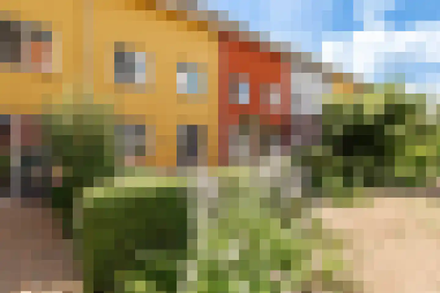 Diet Kramerhof 8 Culemborg thumbnail 49