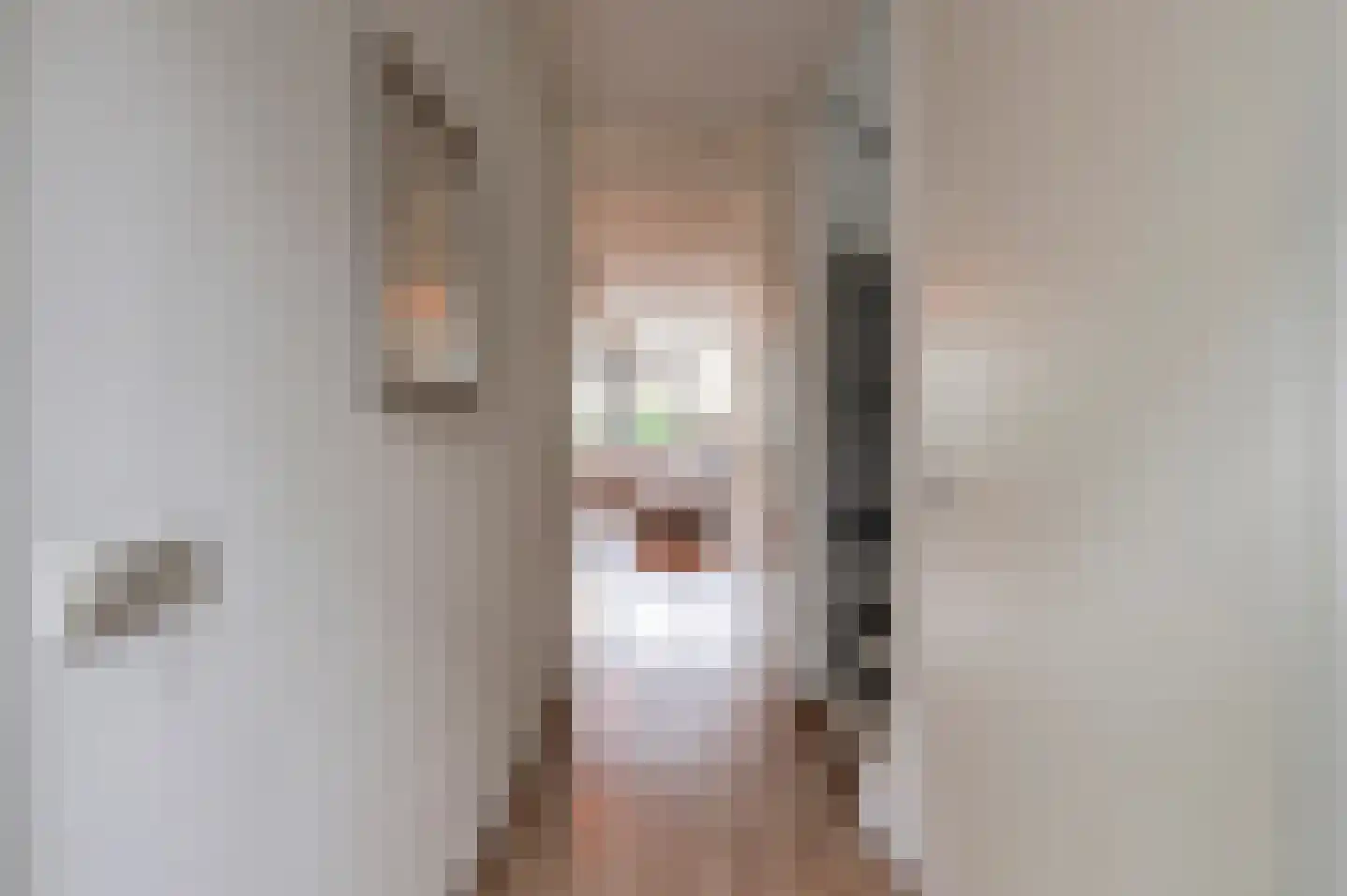 Diet Kramerhof 8 Culemborg thumbnail 5