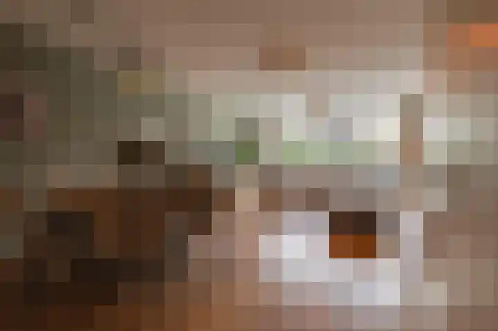 Diet Kramerhof 8 Culemborg thumbnail 6