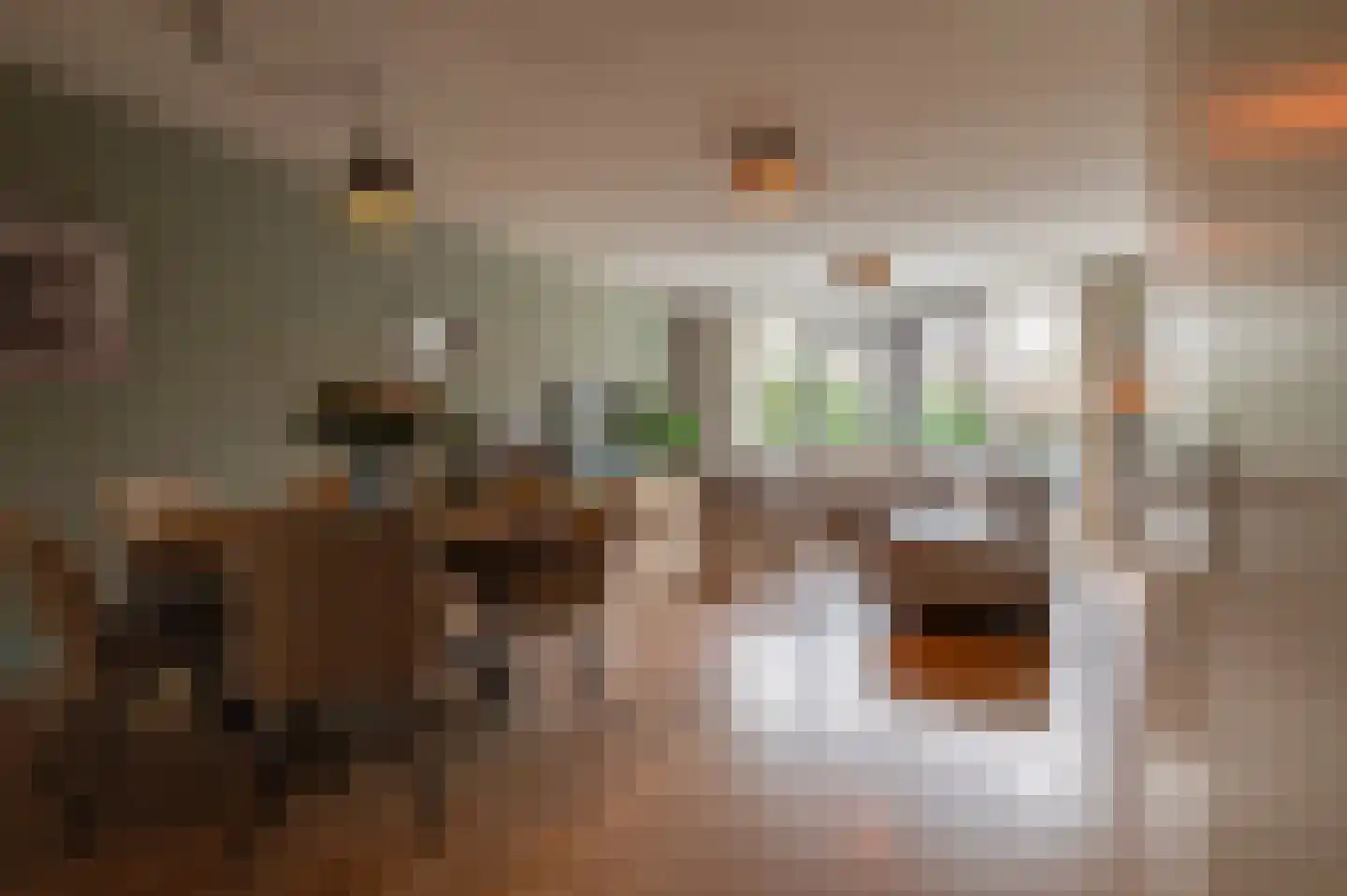 Diet Kramerhof 8 Culemborg thumbnail 6