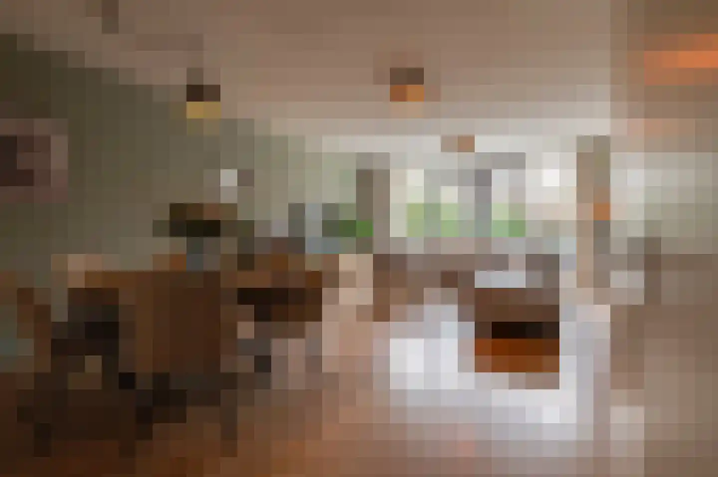 Diet Kramerhof 8 Culemborg thumbnail 6