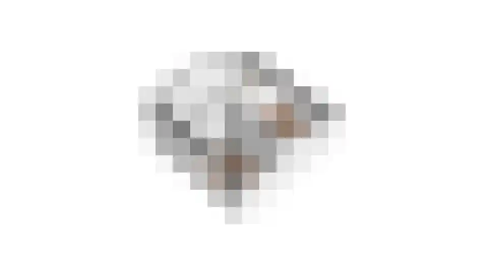 Diet Kramerhof 8 Culemborg thumbnail 60