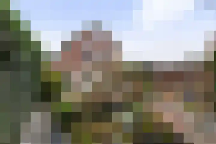 Diet Kramerstraat 15 Apeldoorn thumbnail 17