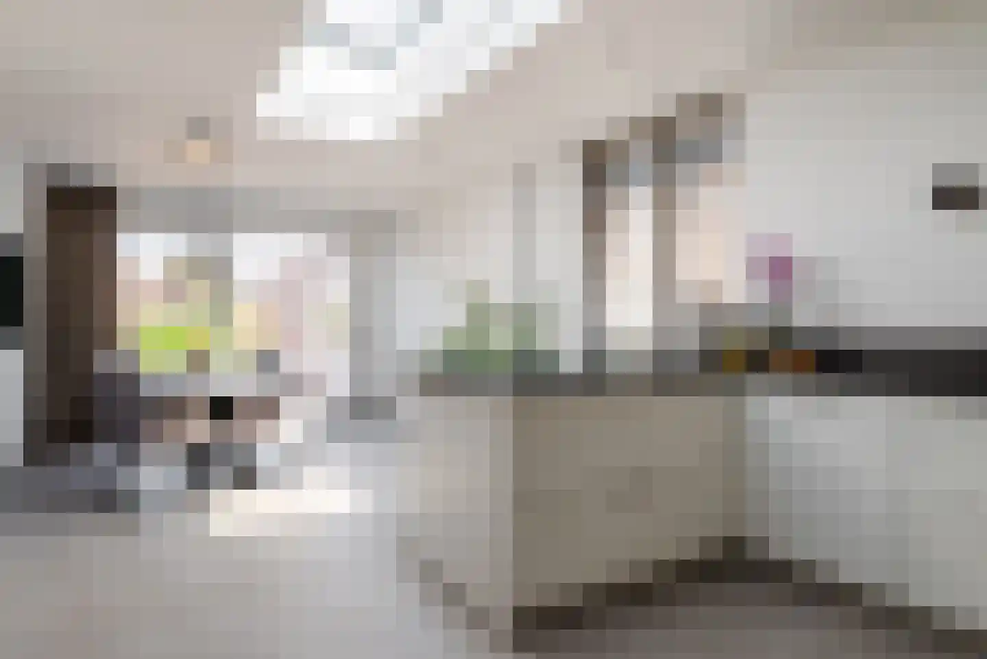 Dieterderweg 108 Susteren thumbnail 10