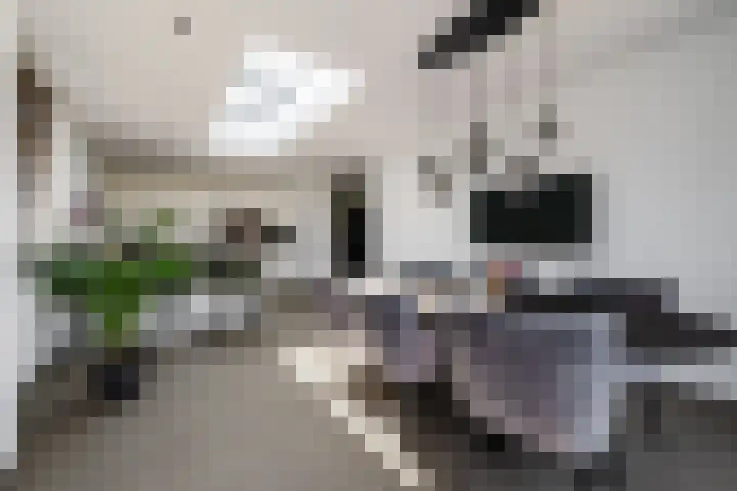 Dieterderweg 108 Susteren thumbnail 16