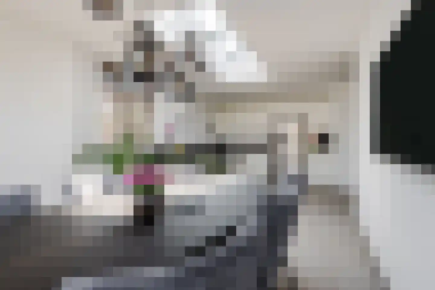 Dieterderweg 108 Susteren thumbnail 17