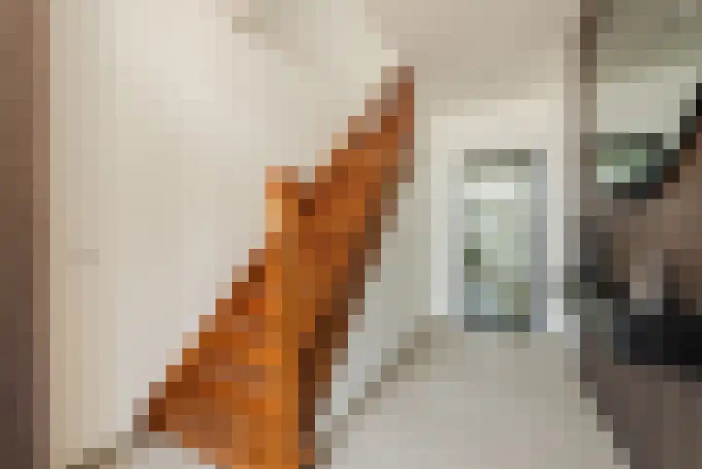 Dieterderweg 108 Susteren thumbnail 20