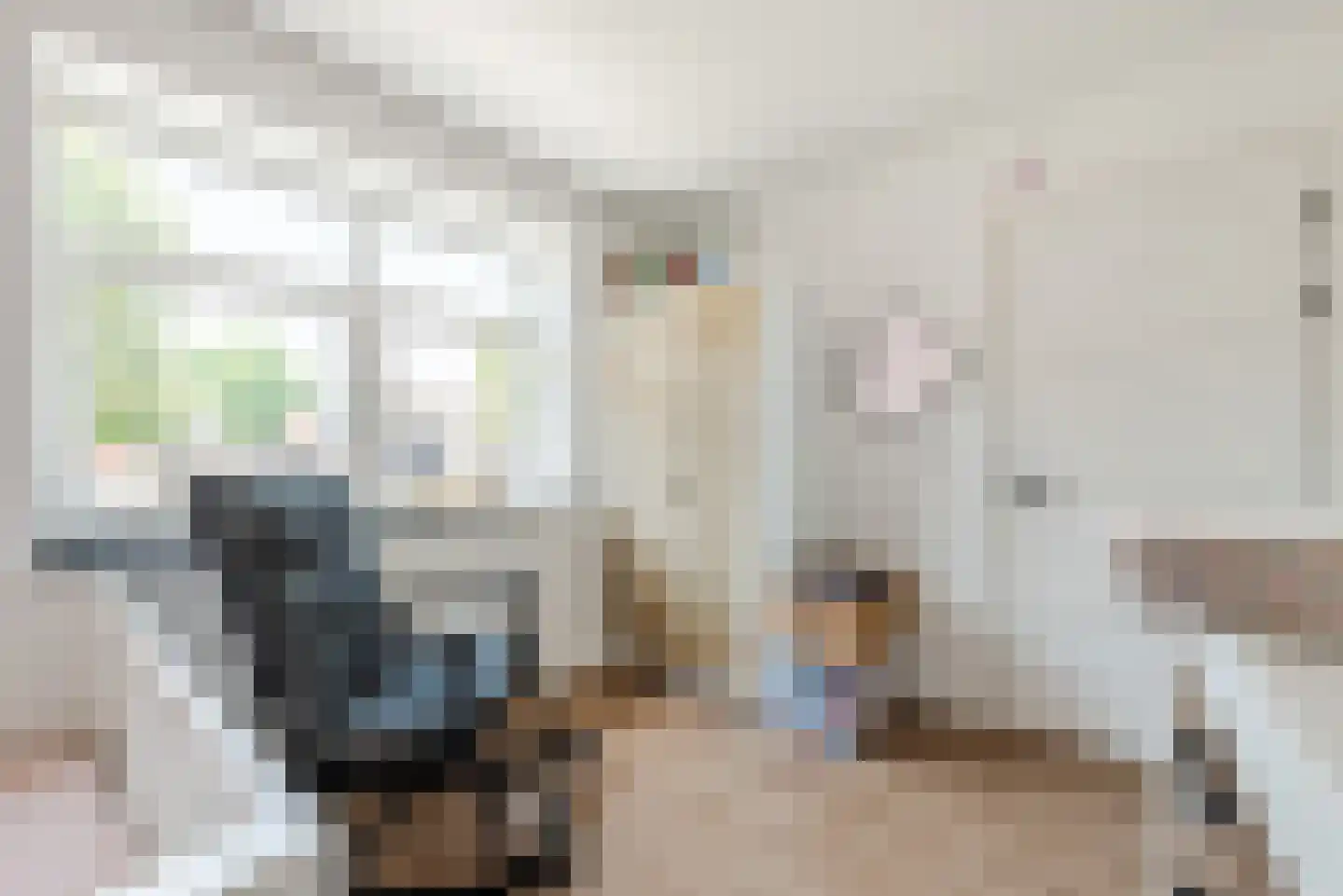 Dieterderweg 108 Susteren thumbnail 28