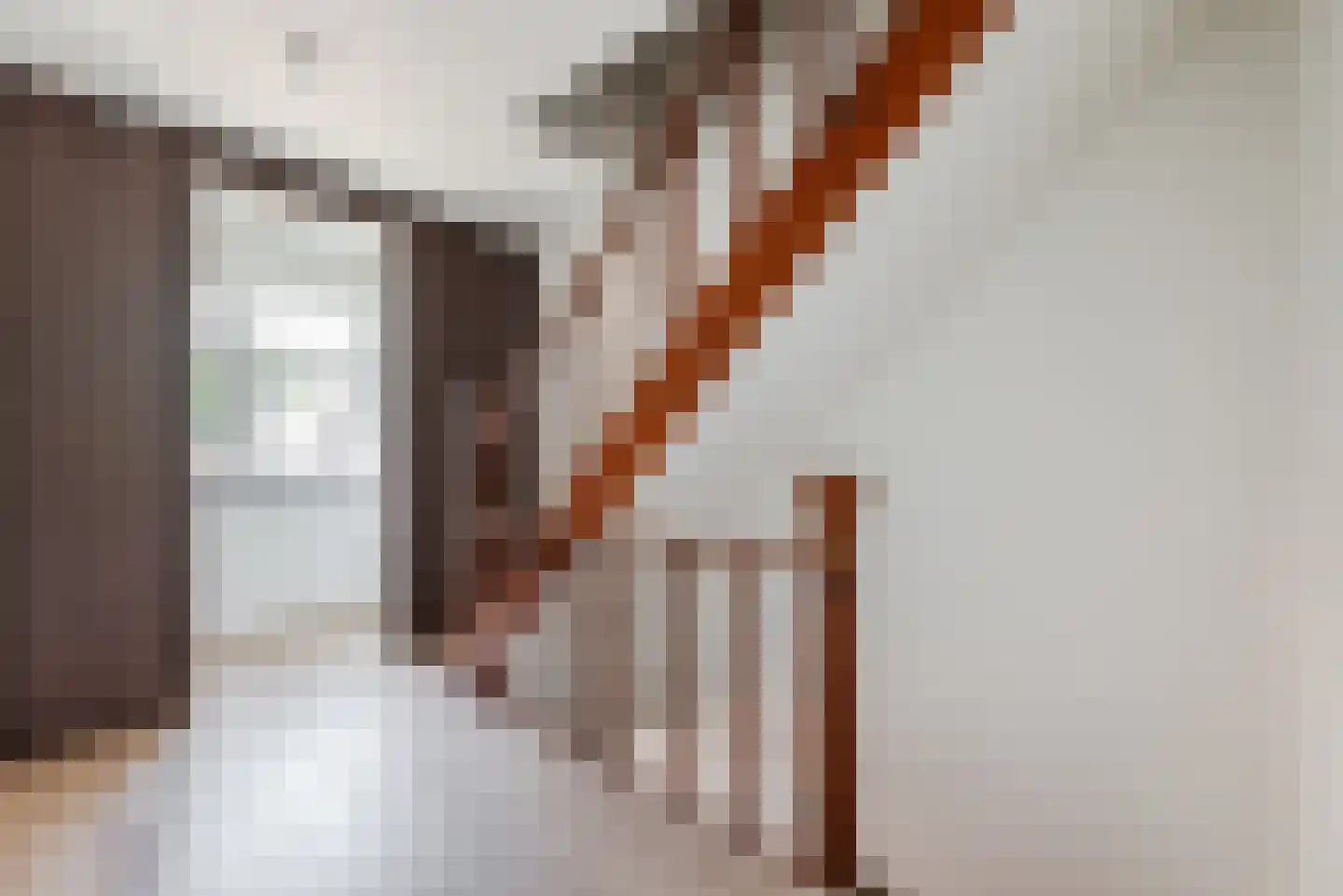 Dieterderweg 108 Susteren thumbnail 35