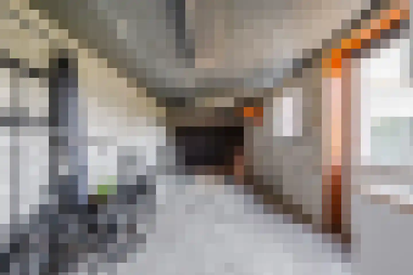 Dieterderweg 108 Susteren thumbnail 39