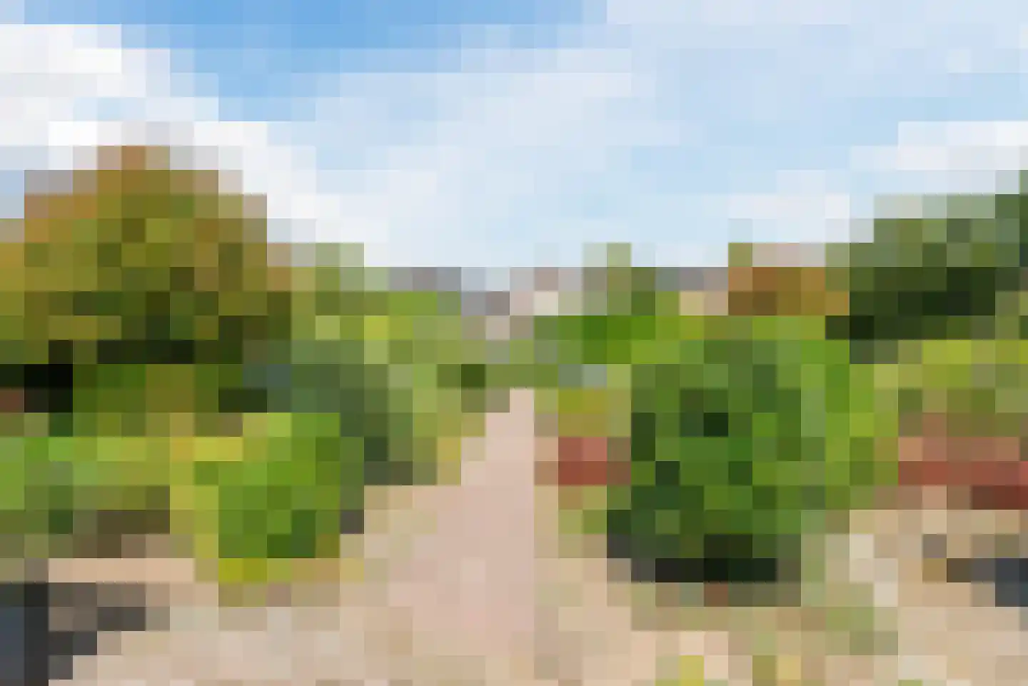 Dieterderweg 108 Susteren thumbnail 42