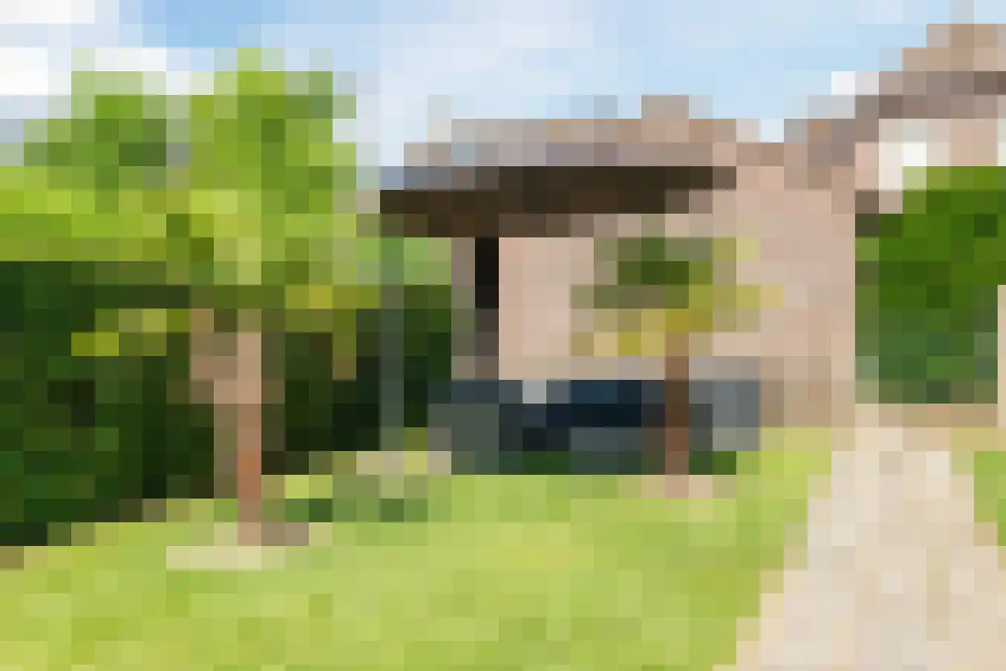 Dieterderweg 108 Susteren thumbnail 44