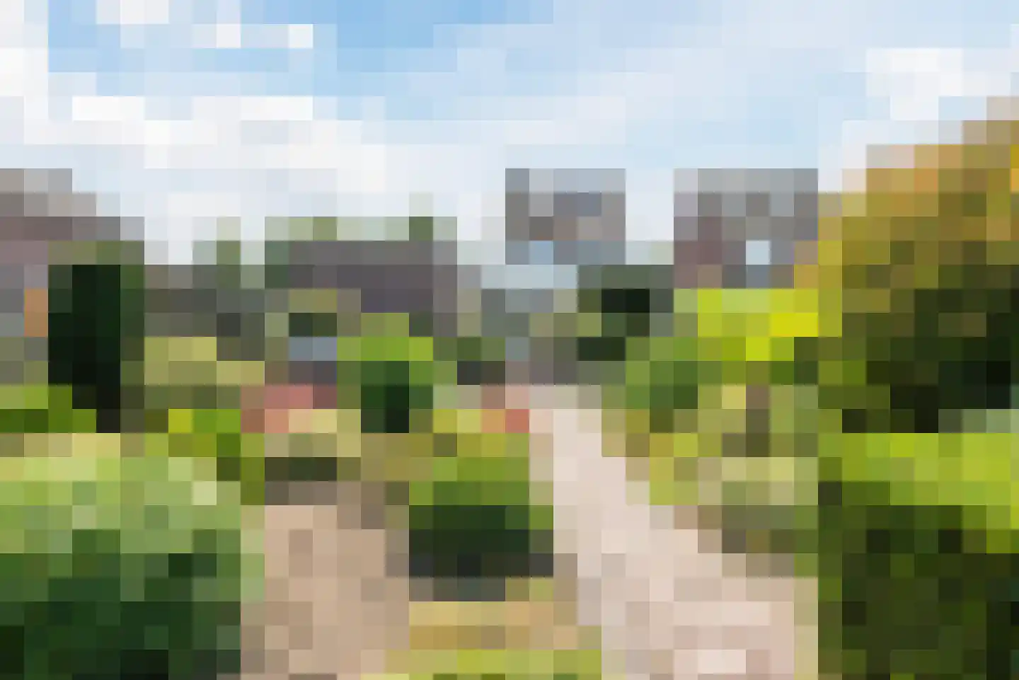 Dieterderweg 108 Susteren thumbnail 46