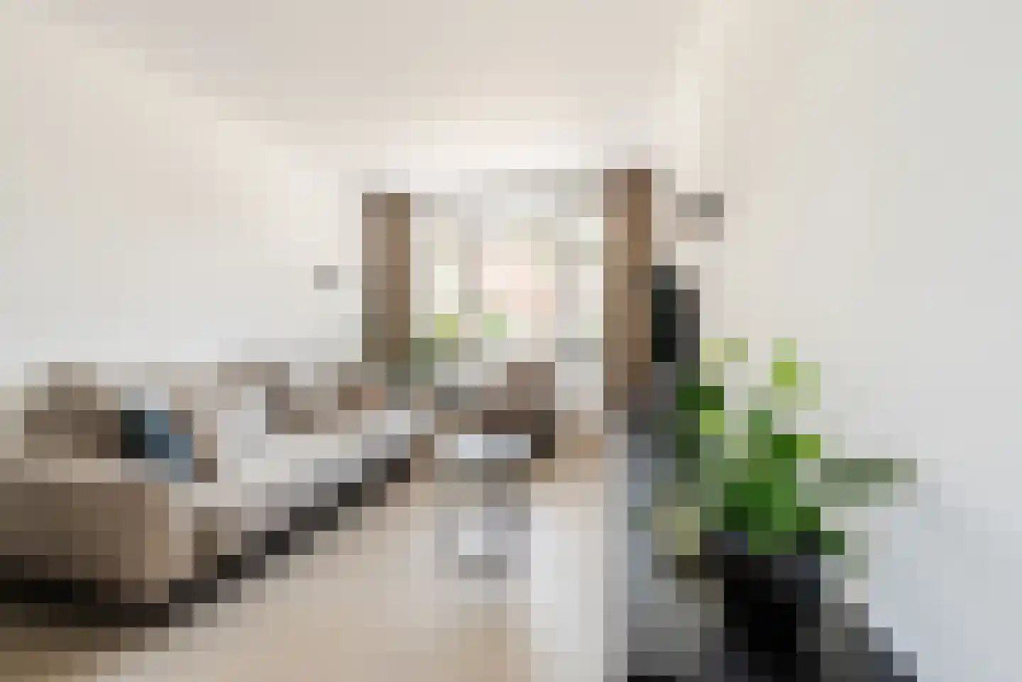 Dieterderweg 108 Susteren thumbnail 6