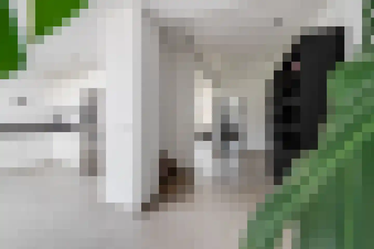 Dieterderweg 108 Susteren thumbnail 9