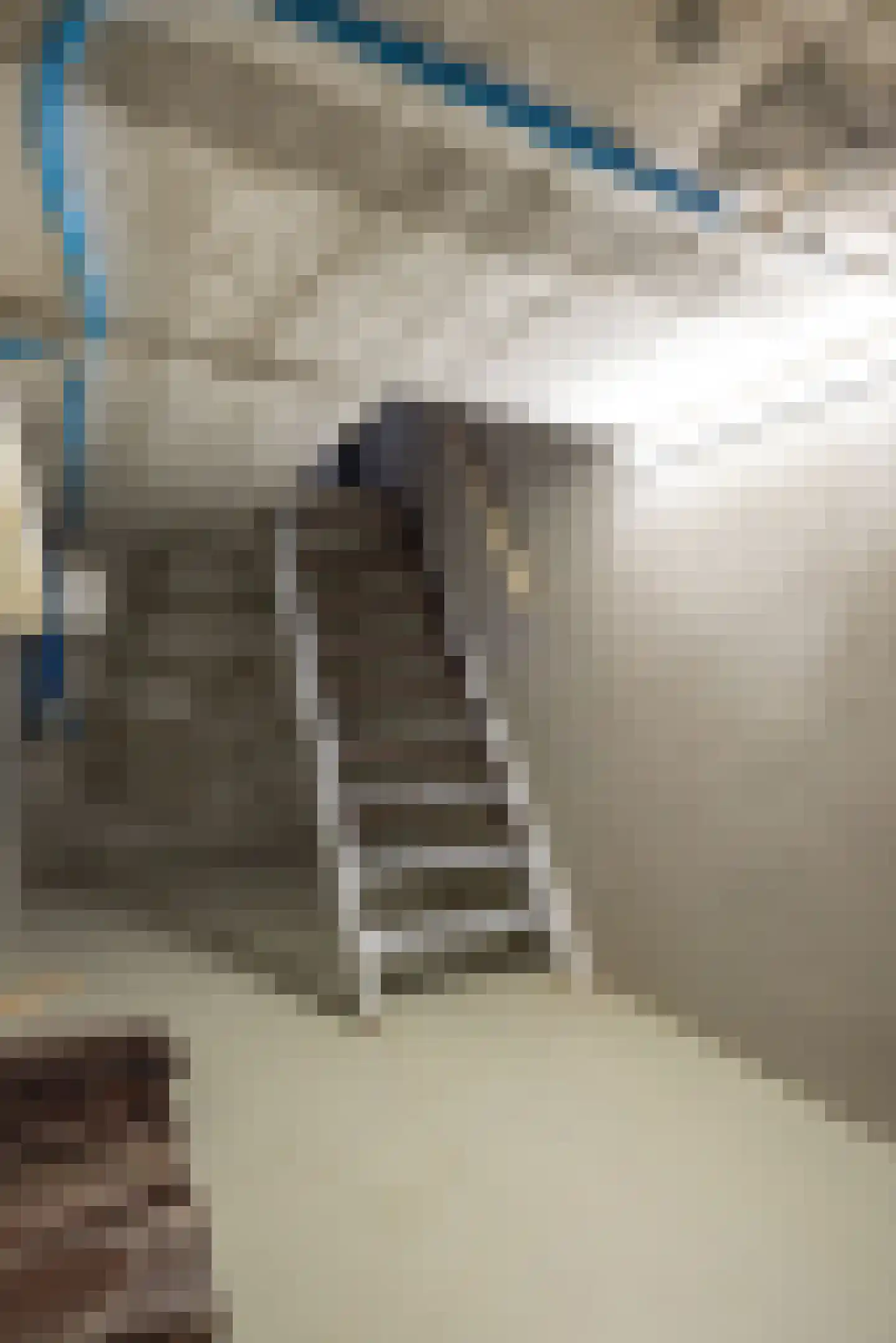 Dieterderweg 11 Susteren thumbnail 10
