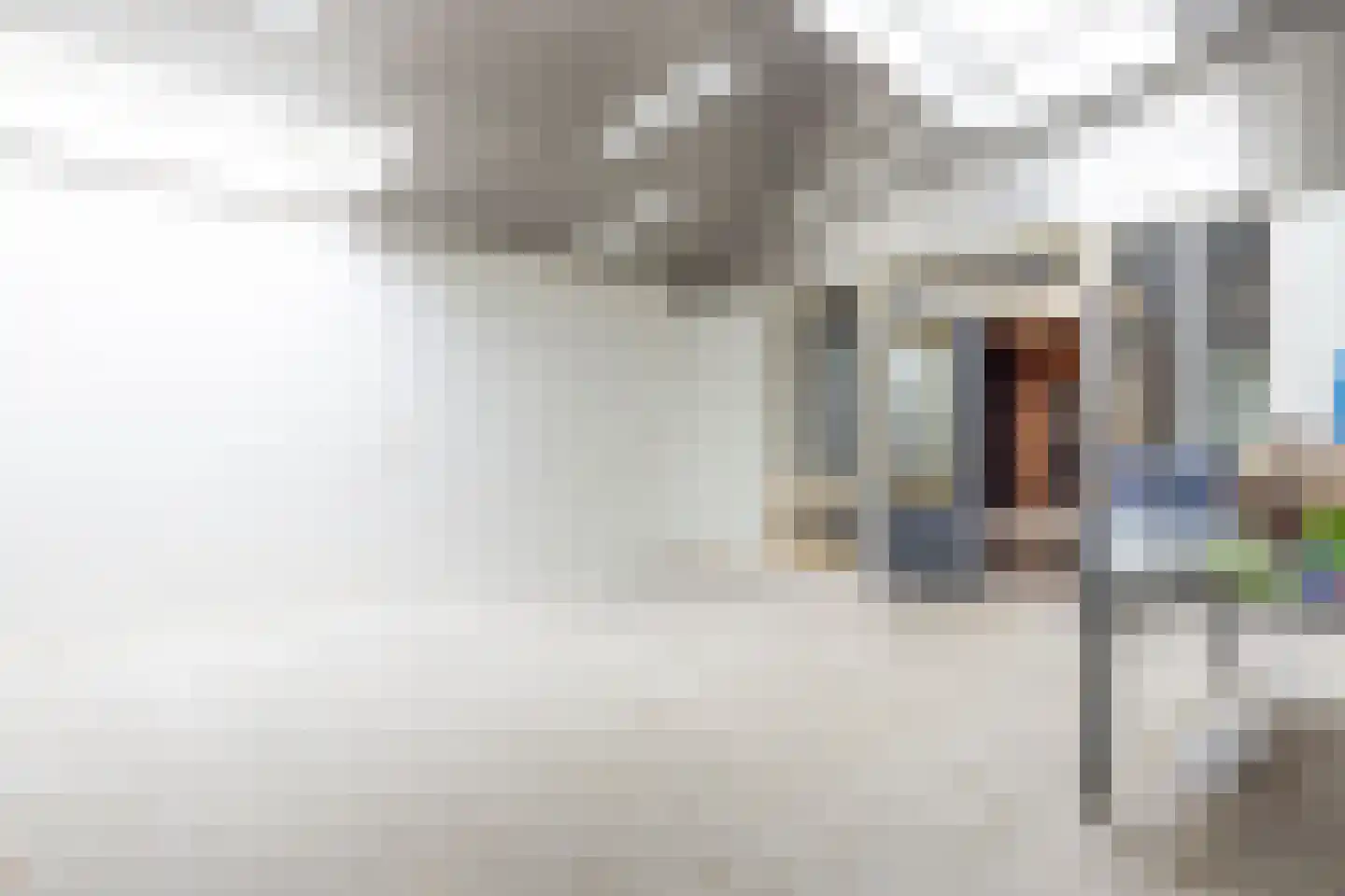 Dieterderweg 11 Susteren thumbnail 22