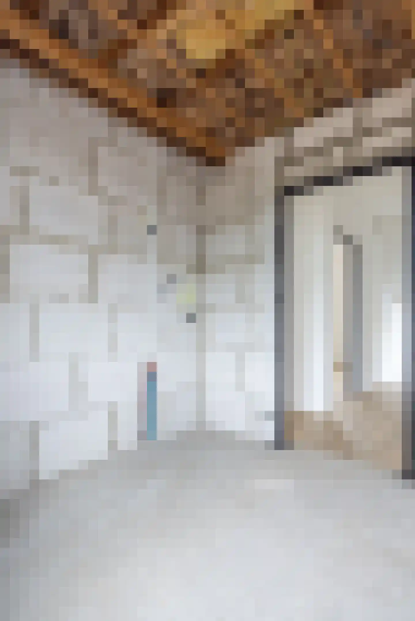 Dieterderweg 11 Susteren thumbnail 29