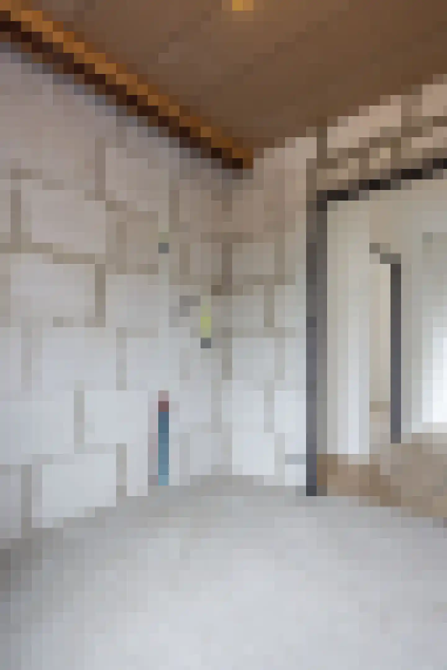 Dieterderweg 11 Susteren thumbnail 35
