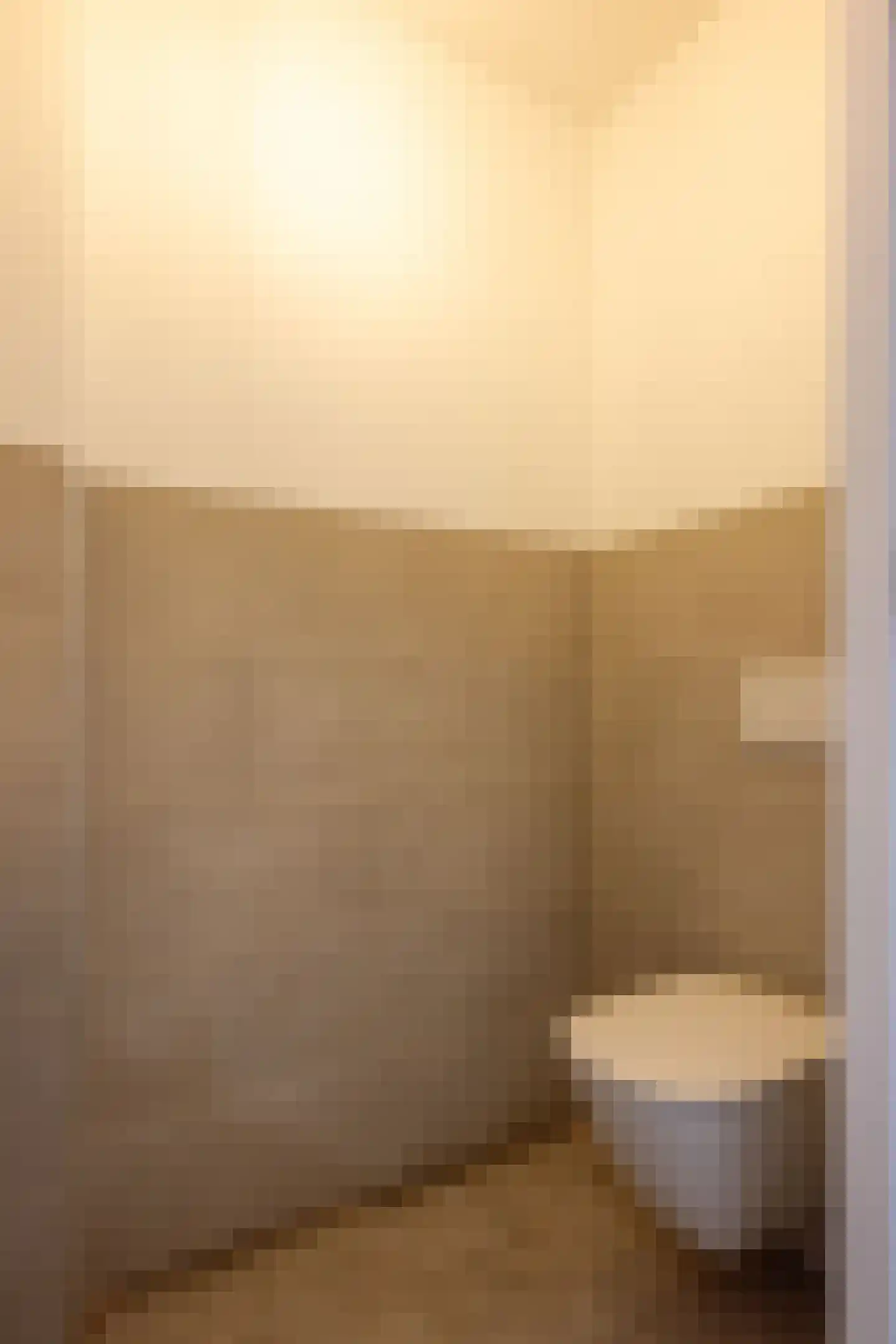 Dieterderweg 11 Susteren thumbnail 8