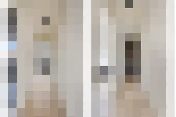 Dieterderweg 68 Susteren thumbnail 11