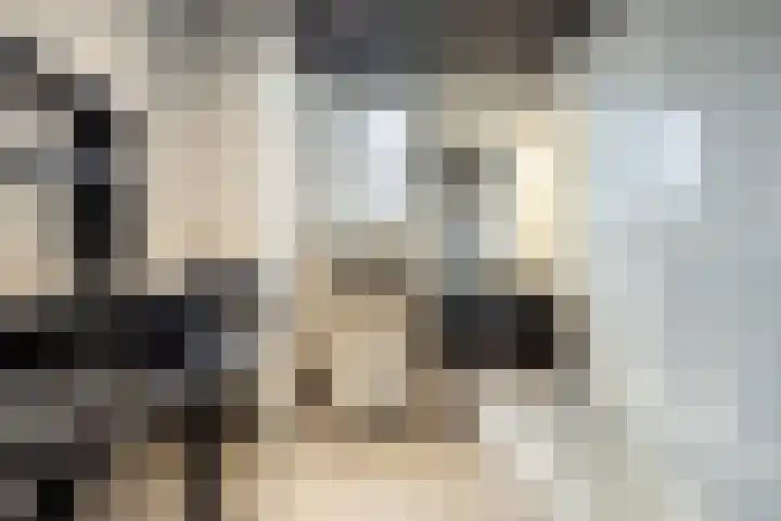 Dieterderweg 68 Susteren thumbnail 14